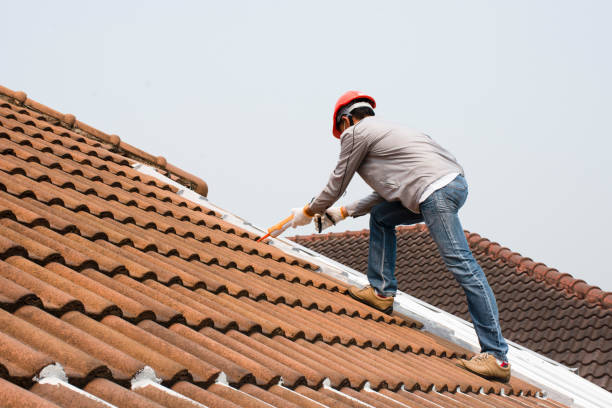 Roof Maintenance